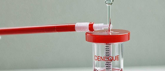 Recién se empezaría a vacunar contra el Dengue: Un paso vital en la lucha contra un enemigo letal